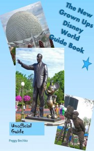 Disney World Guide Book Final Cover
